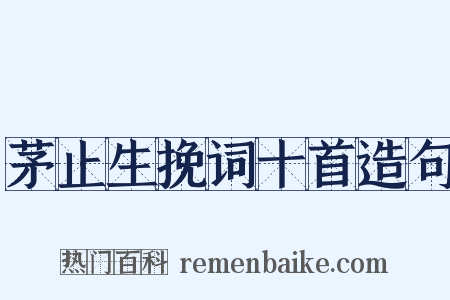 茅止生挽词十首造句是什么意思的图片